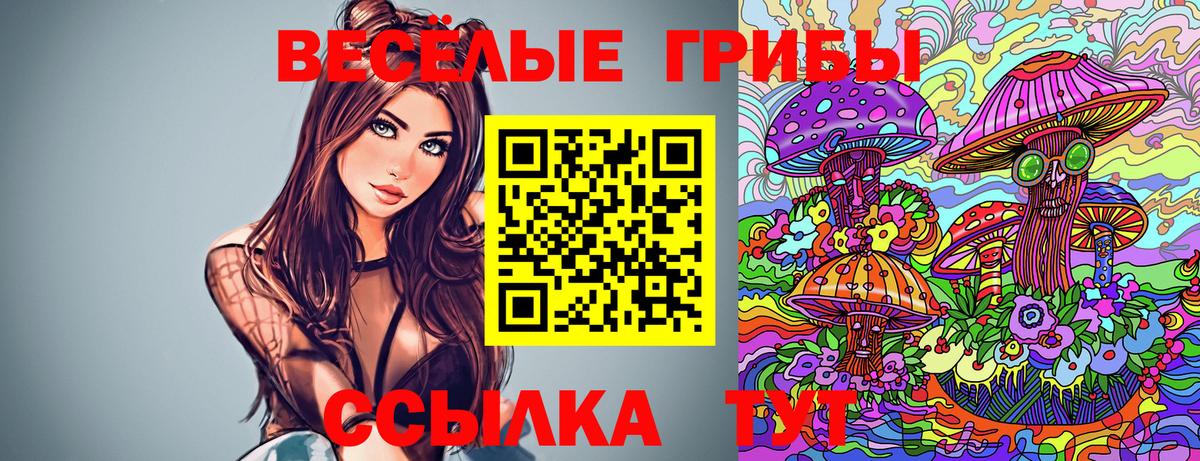 Озёры  Галлюциногенные грибы мицелий  Вход с VPN 